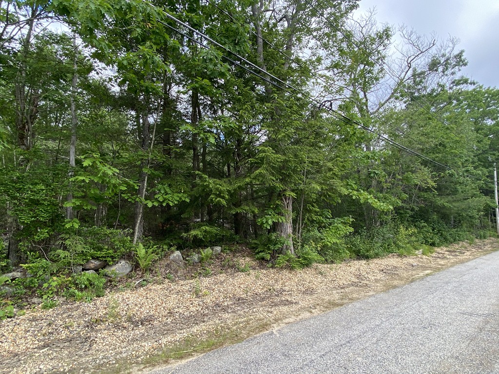 Lot 9 Brooks Road Templeton, MA 01468 - Photo 4 of 7 Gallery Image 4