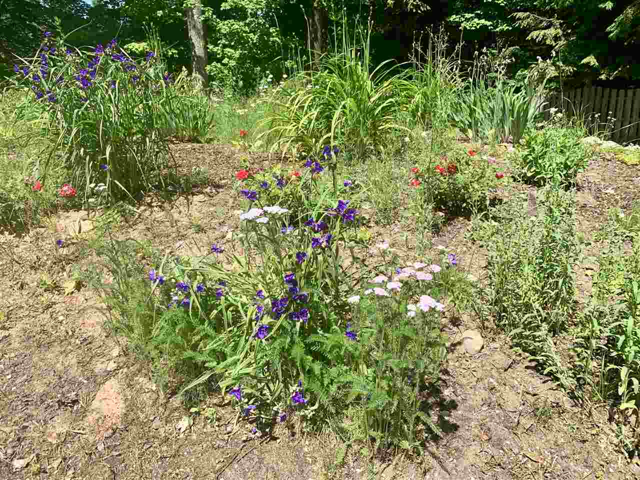 7898 Cook Road Williamsburg, MI 49690 - Photo 57 of 71 1863704-56.JPG