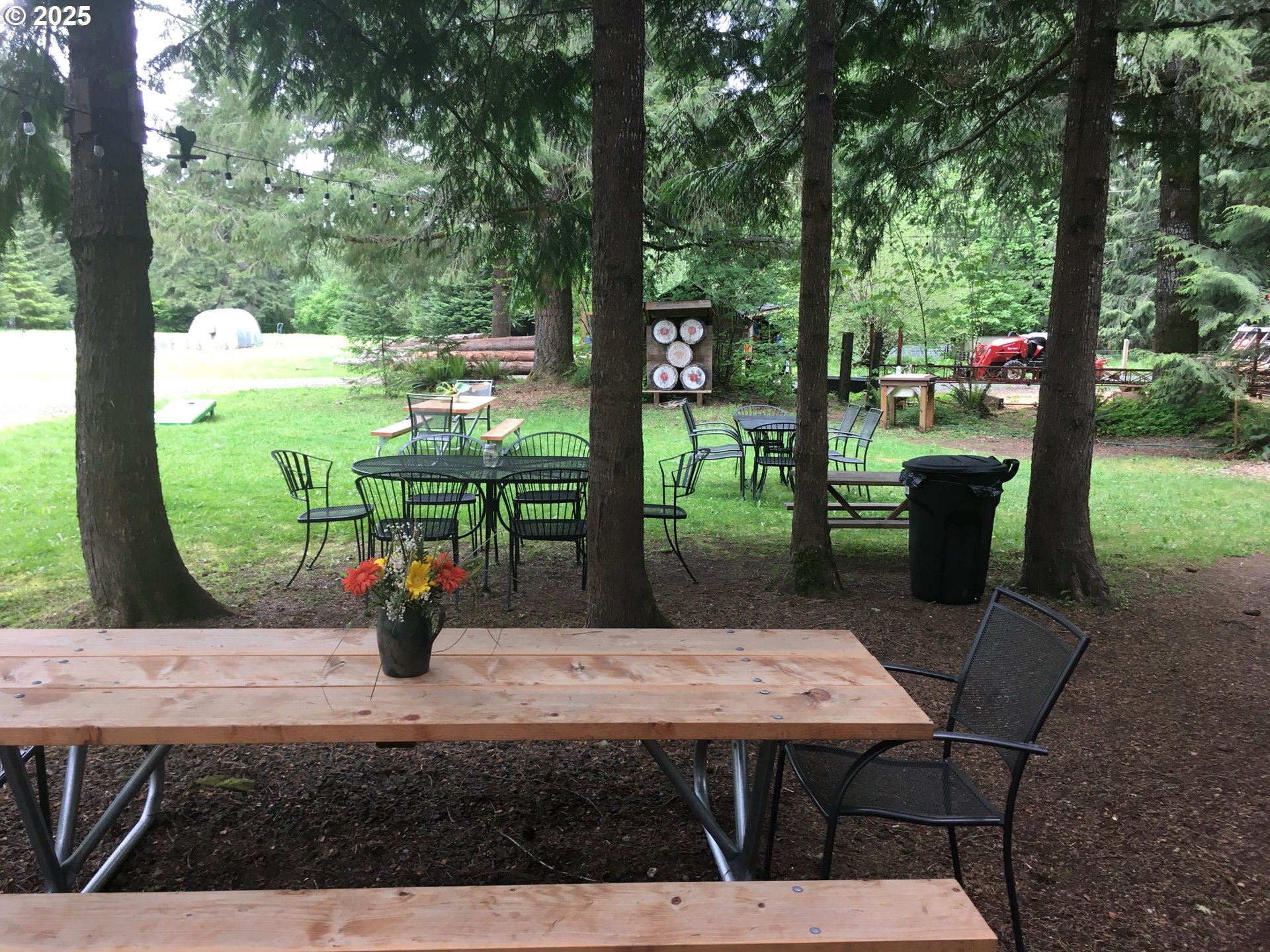 62941 Northwest Cochran Road Timber, OR 97144 - Photo 33 of 44 a view of a patio with table and chairs potted plants with large tree