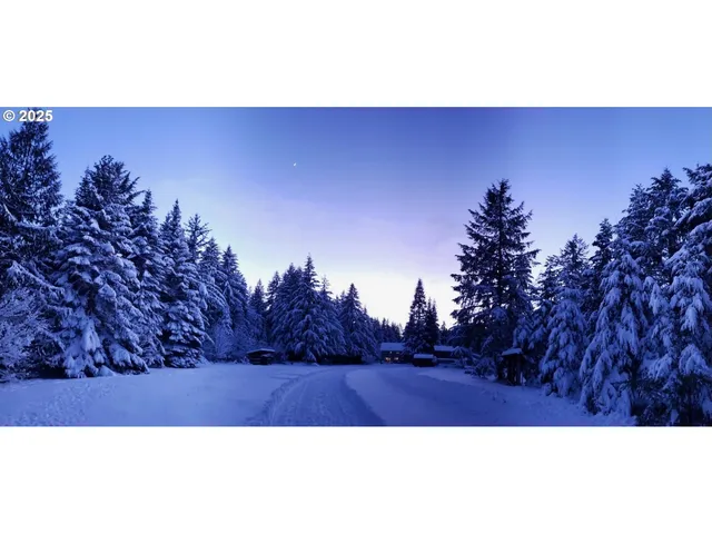 a view of a flowers with a yard