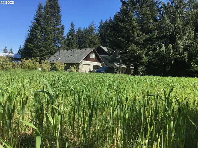 a view of a garden with pathway