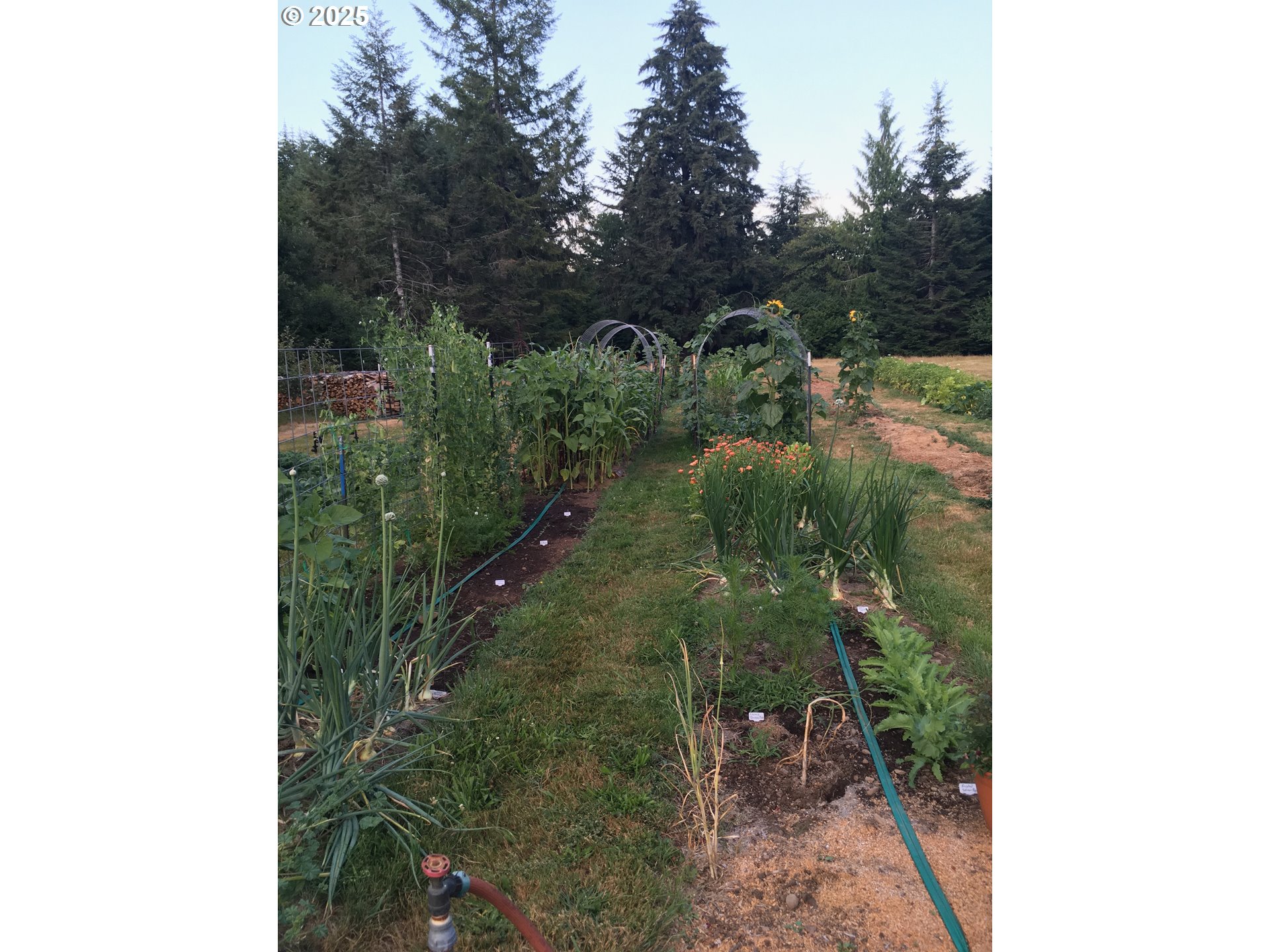 62941 Northwest Cochran Road Timber, OR 97144 - Photo 39 of 44