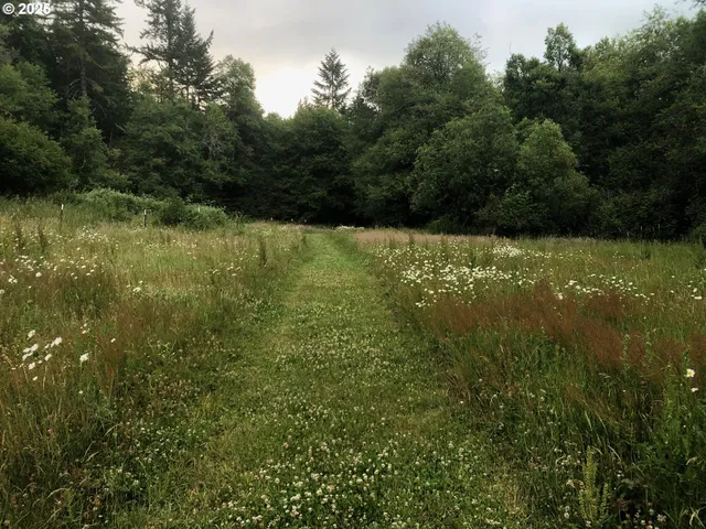 a view of a small yard
