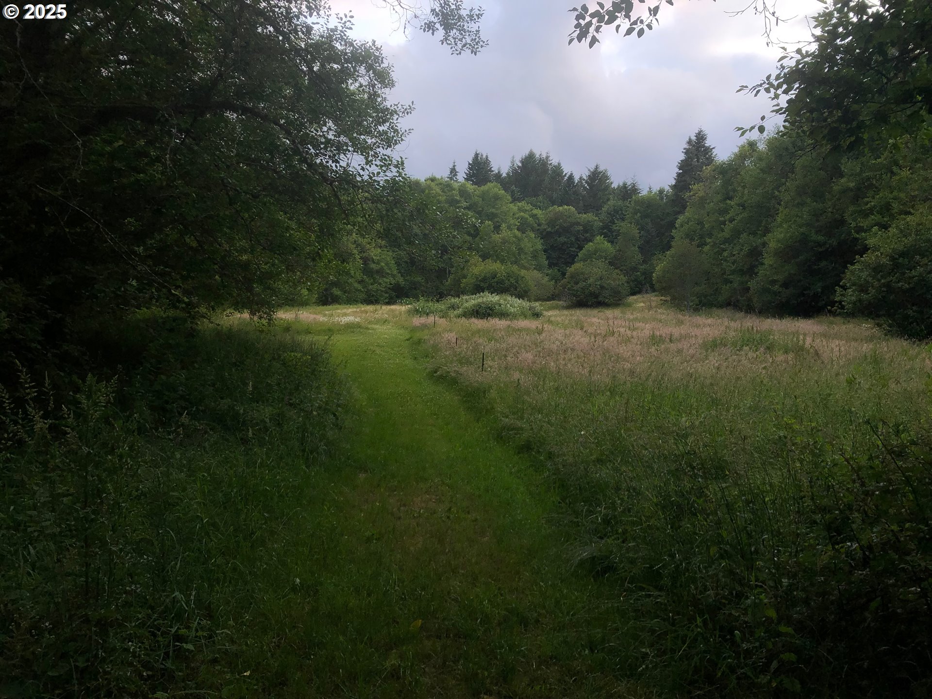 62941 Northwest Cochran Road Timber, OR 97144 - Photo 42 of 44 a view of a field of grass and trees