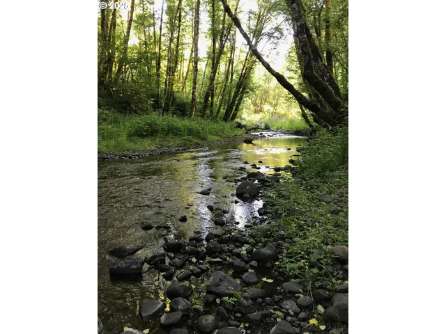 $1,200,000 | 62941 Northwest Cochran Road, Timber, OR 97144