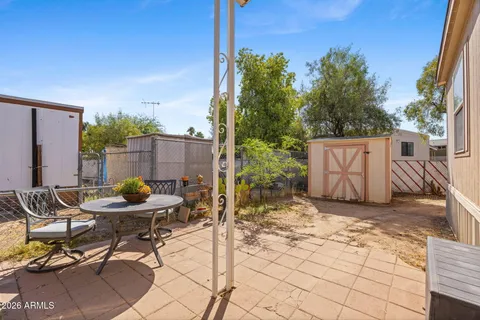 a view of a backyard with couches and a large tree