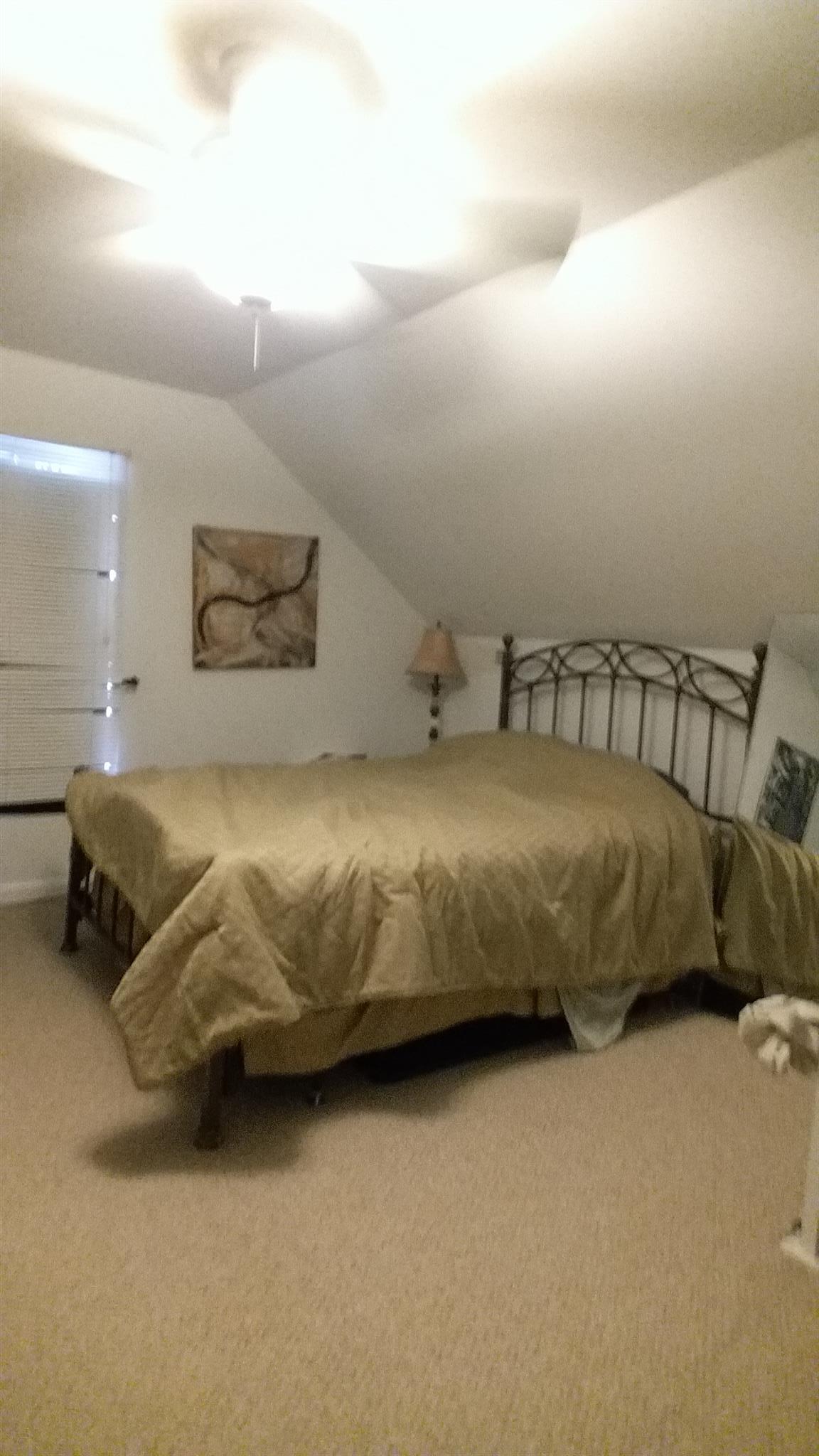 2921 Stapleton Drive Spring Hill, TN 37174 - Photo 9 of 11 Upstairs bedroom 4