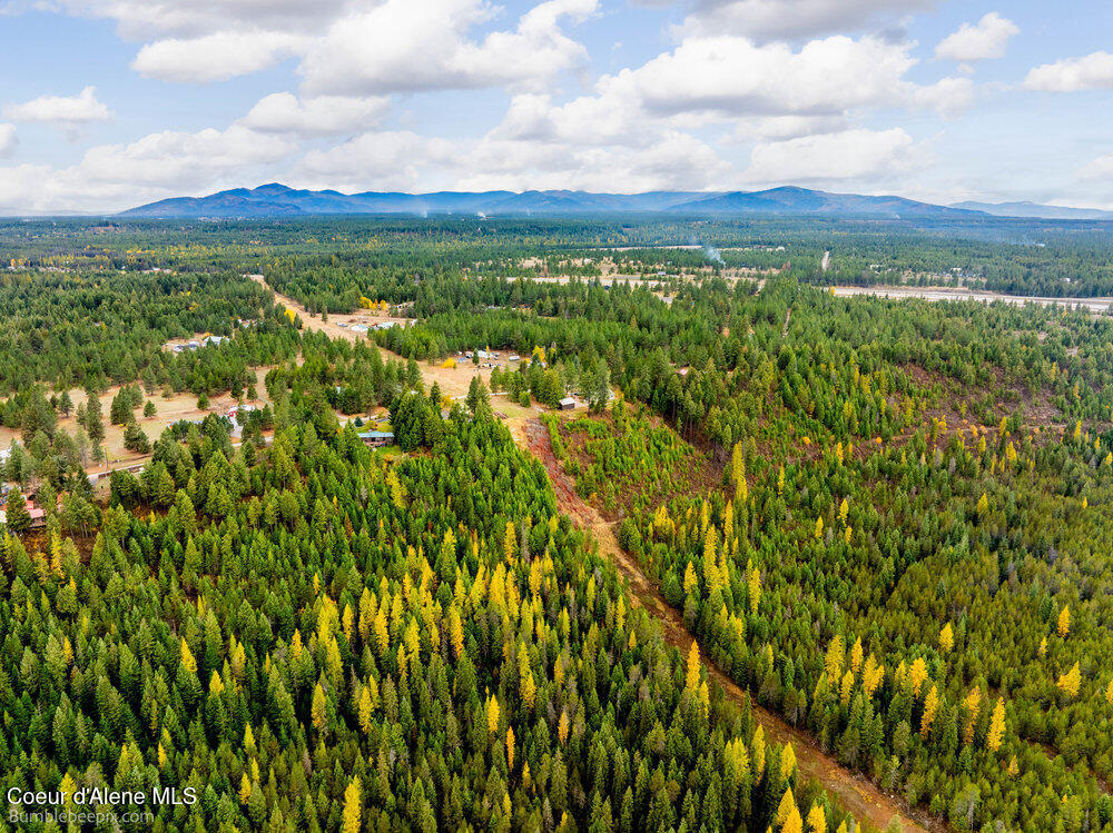 Tbd North Roberts Road Athol, ID 83801 - Photo 15 of 19 bb193442-10_373
