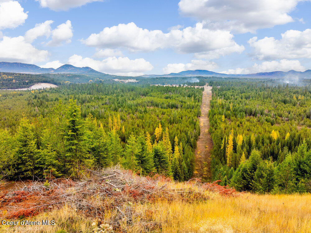 Tbd North Roberts Road Athol, ID 83801 - Photo 9 of 19 bb193442-22_412