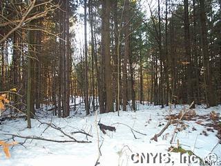 Muncy Road Lowville, NY 13367 - Photo 1 of 1 Land