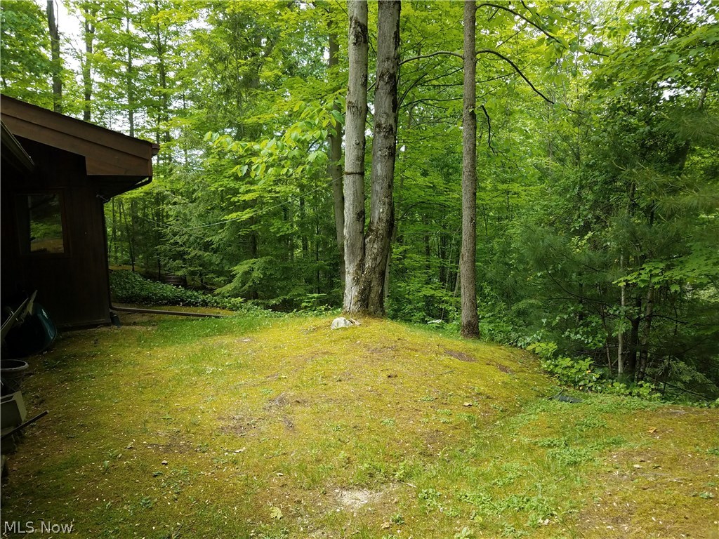 10210 Sherman Road Chardon, OH 44024 - Photo 7 of 29 Gallery Image 7