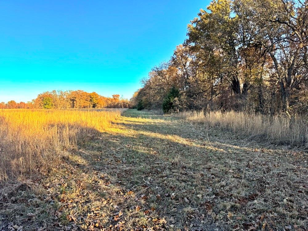 Tbd South 525 Road El Dorado Springs, MO 64744 - Photo 4 of 25