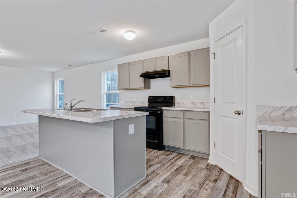 327 Riley Way Spring Hope, NC 27882 - Photo 6 of 23 Kitchen