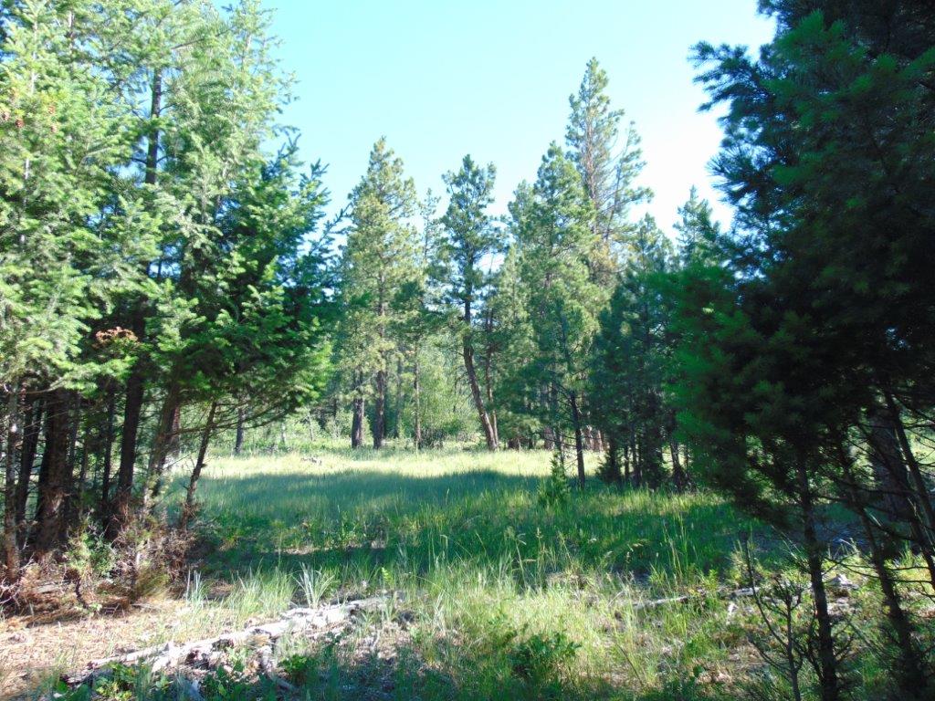 4615 Abe Lincoln Road Lincoln, MT 59639 - Photo 84 of 92 Gallery Image 84