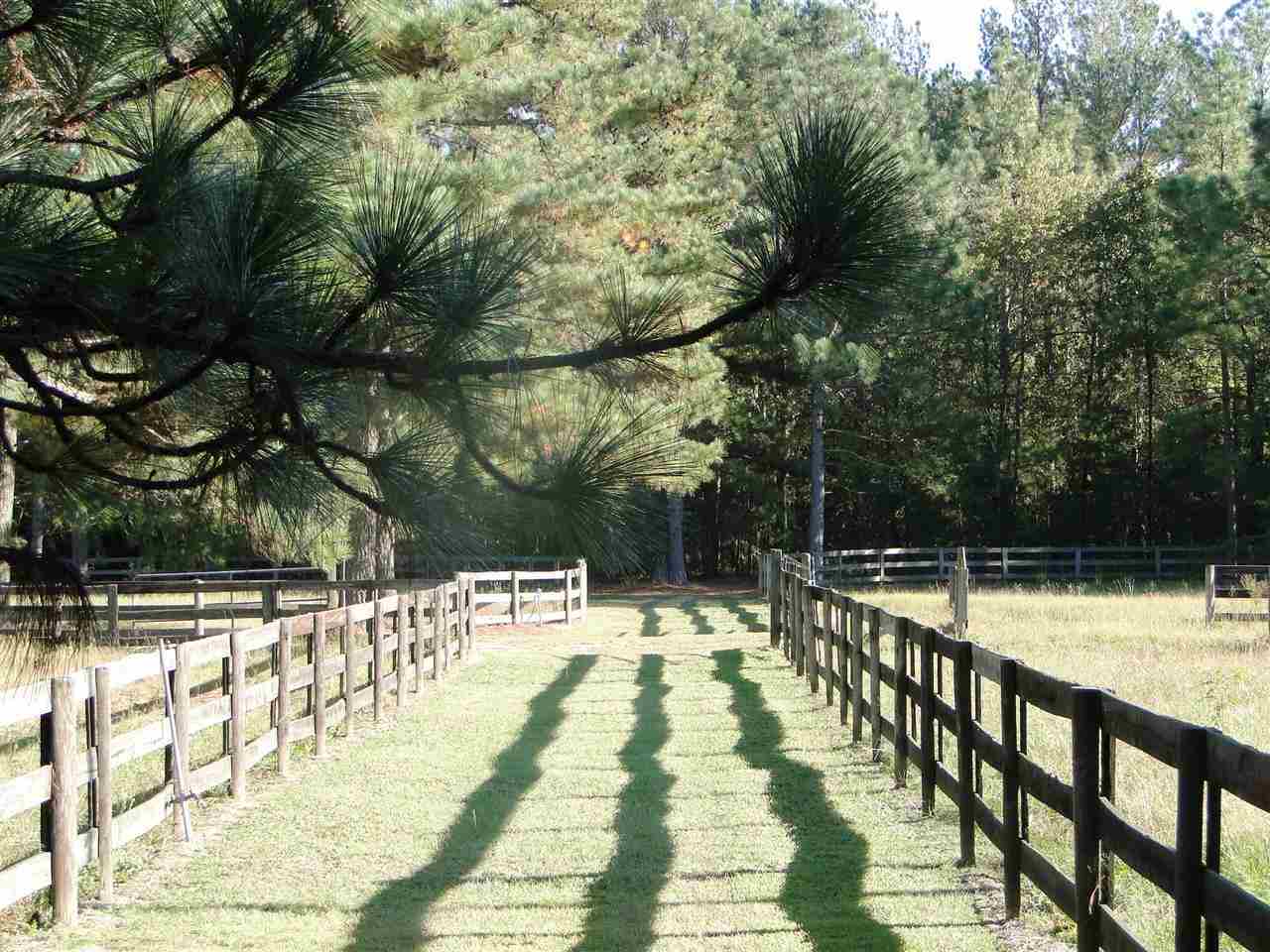 341 Batchelor Farm Road Aberdeen, NC 28315 - Photo 3 of 25 Additional Photo