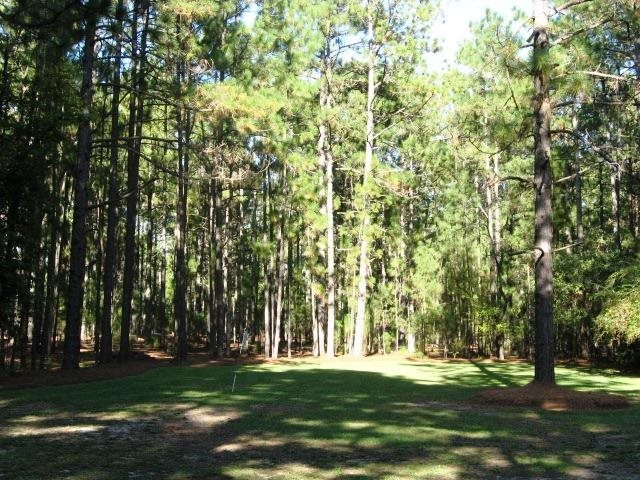 341 Batchelor Farm Road Aberdeen, NC 28315 - Photo 4 of 25 Additional Photo