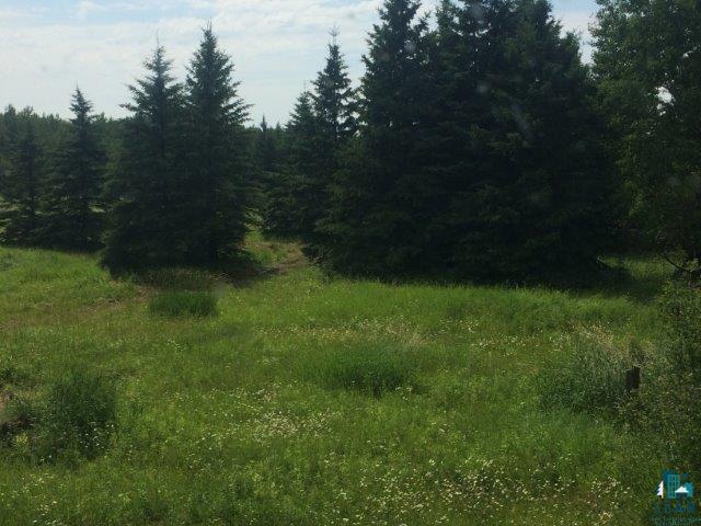 8871 Samuelson Road Angora, MN 55703 - Photo 9 of 10