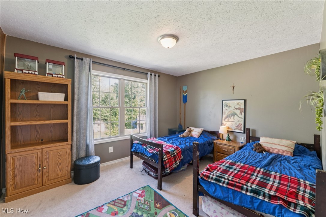 2484 East Smiley Road Shelby, OH 44875 - Photo 32 of 50 Gallery Image 32
