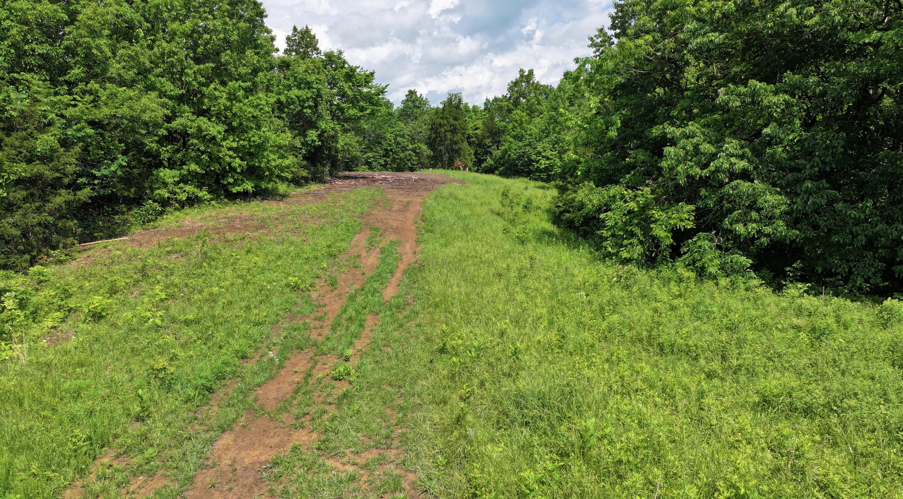 3990 Claxon Ridge Road Owenton, KY 40359 - Photo 3 of 19