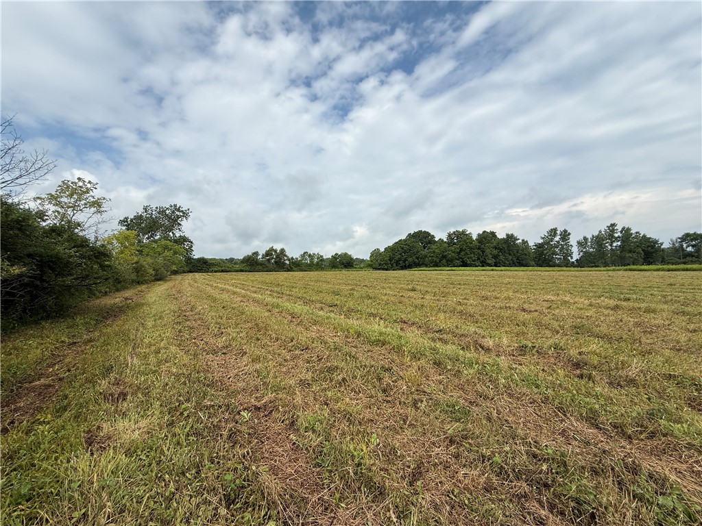 Halseyville Road Ithaca, NY 14850 - Photo 18 of 29 Gallery Image 18