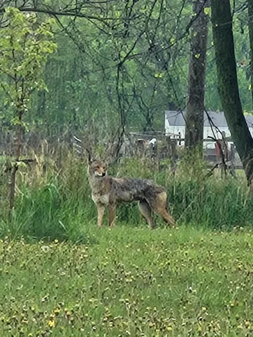 $2,499,999 | 2760 North Territorial Road West, Ann Arbor, MI 48105