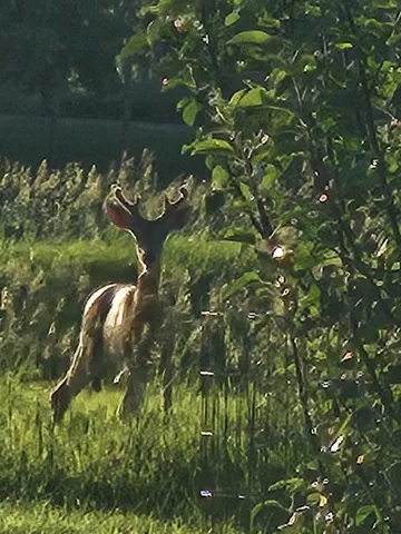 $2,499,999 | 2760 North Territorial Road West, Ann Arbor, MI 48105