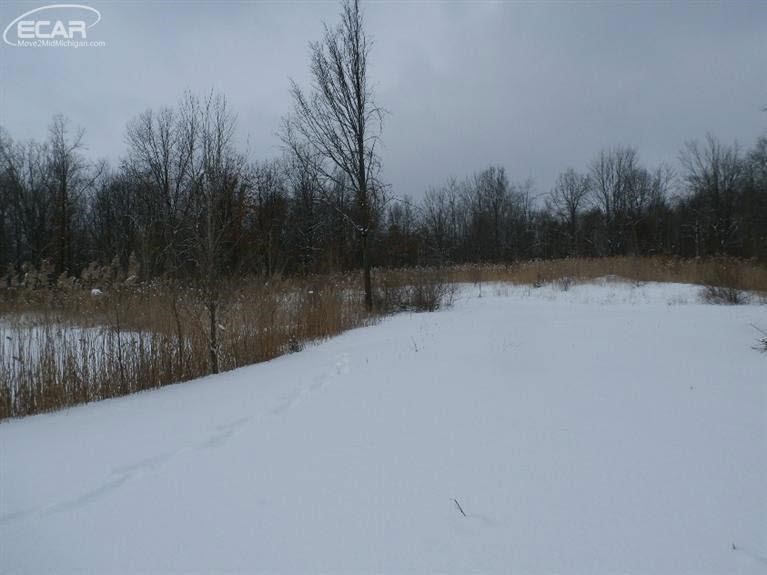 8411 West Dodge Road Montrose, MI 48457 - Photo 24 of 28 Gallery Image 24