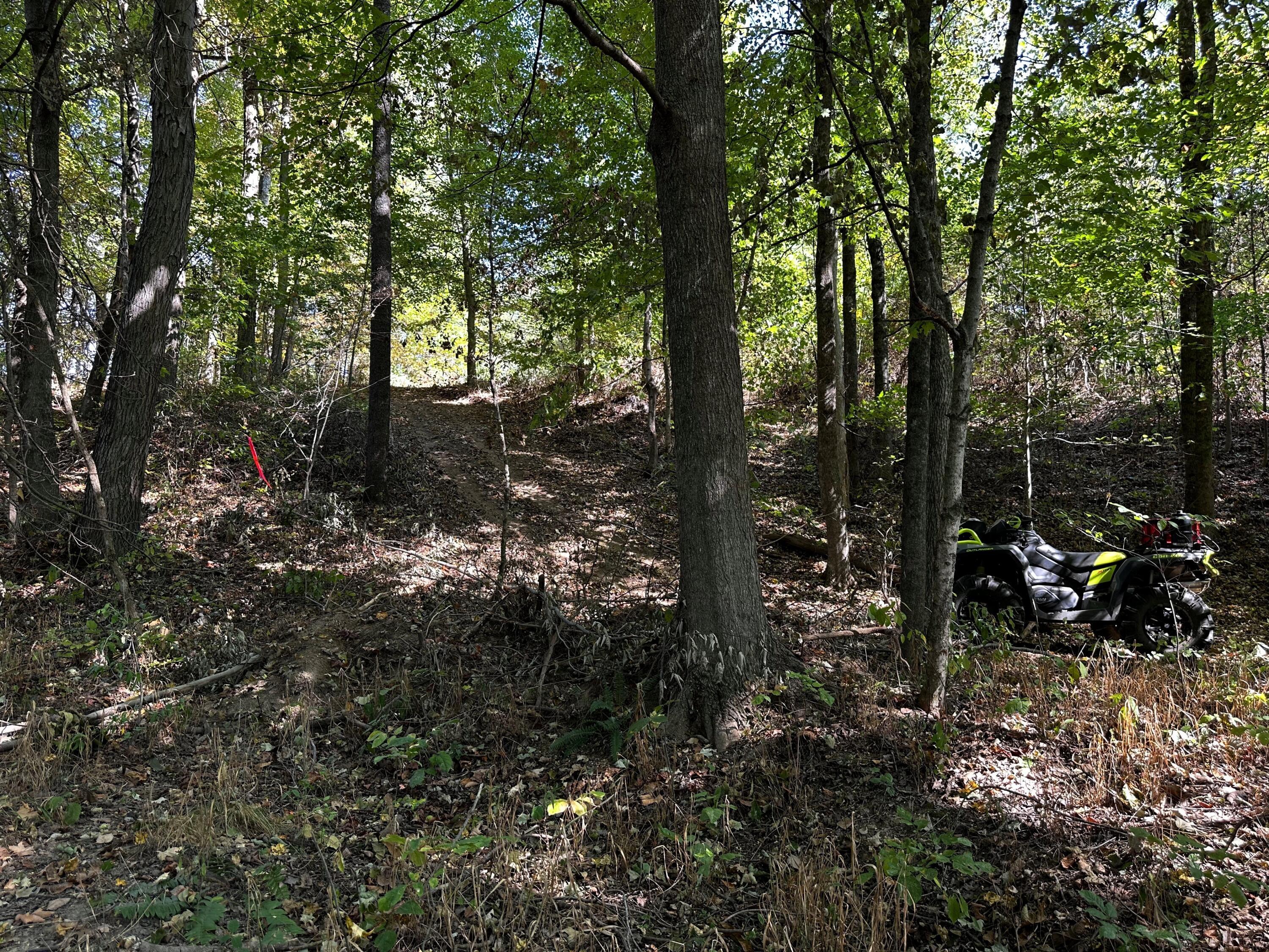 0 Dutch Ridge Road, Unit TRACT 6 AT DUTCH RIDGE) New Straitsville, OH 43766 - Photo 30 of 44 20240920_152907646_iOS