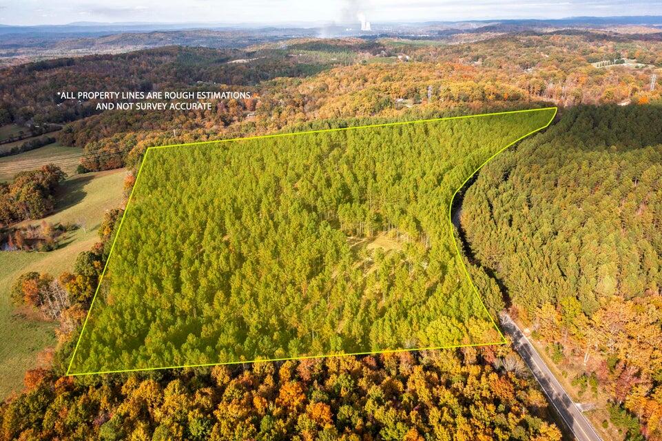 28.74-ac Green Pond Road Decatur, TN 37322 - Photo 1 of 46 1