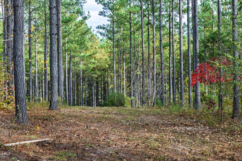 28.74-ac Green Pond Road Decatur, TN 37322 - Photo 11 of 46 11