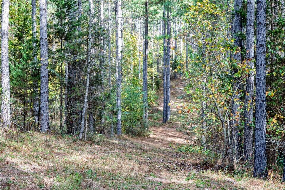 28.74-ac Green Pond Road Decatur, TN 37322 - Photo 12 of 46 12