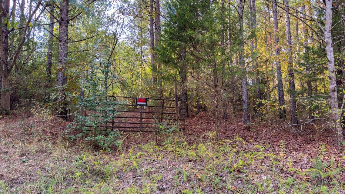 28.74-ac Green Pond Road Decatur, TN 37322 - Photo 18 of 46 18