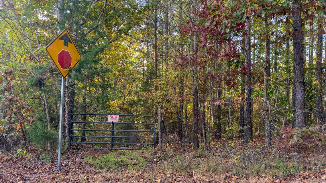 28.74-ac Green Pond Road Decatur, TN 37322 - Photo 20 of 46 20