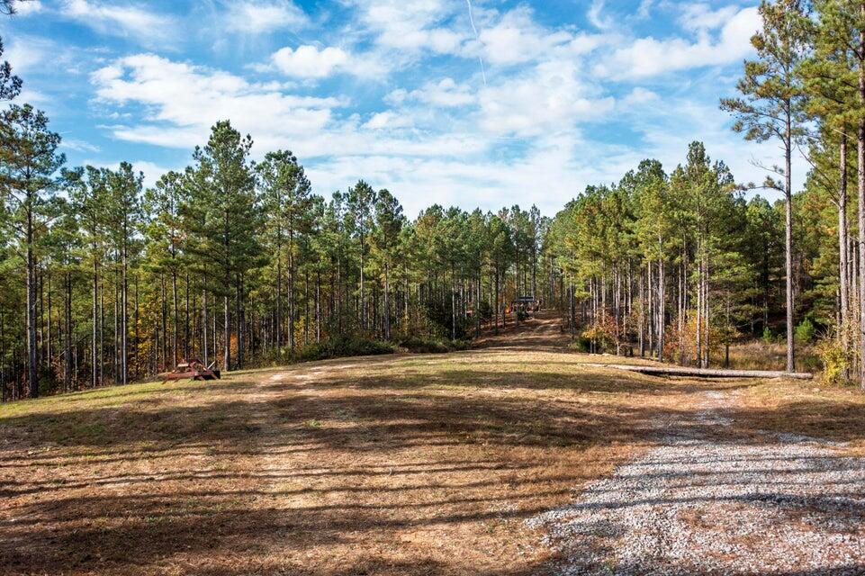 28.74-ac Green Pond Road Decatur, TN 37322 - Photo 2 of 46 2