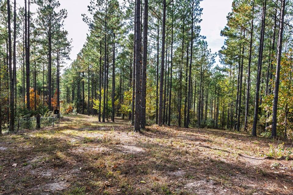 28.74-ac Green Pond Road Decatur, TN 37322 - Photo 22 of 46 22