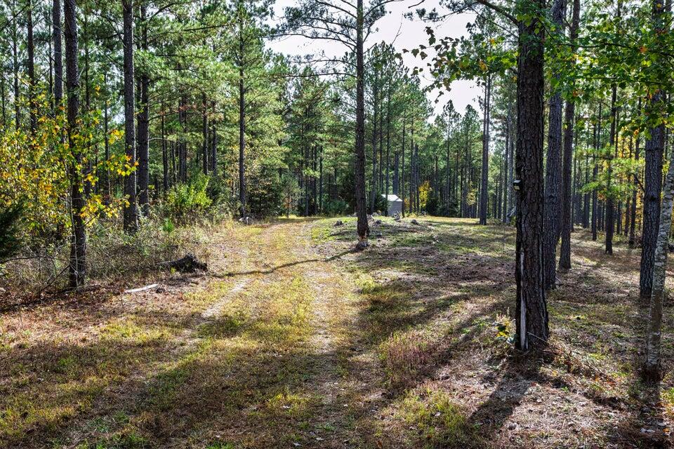 28.74-ac Green Pond Road Decatur, TN 37322 - Photo 26 of 46 26
