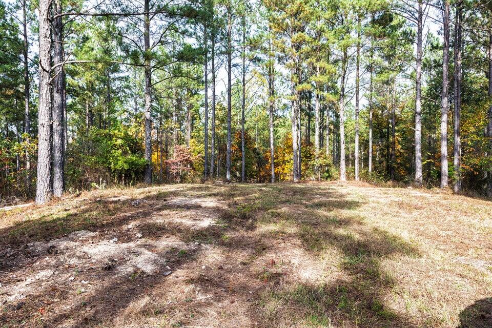 28.74-ac Green Pond Road Decatur, TN 37322 - Photo 27 of 46 27