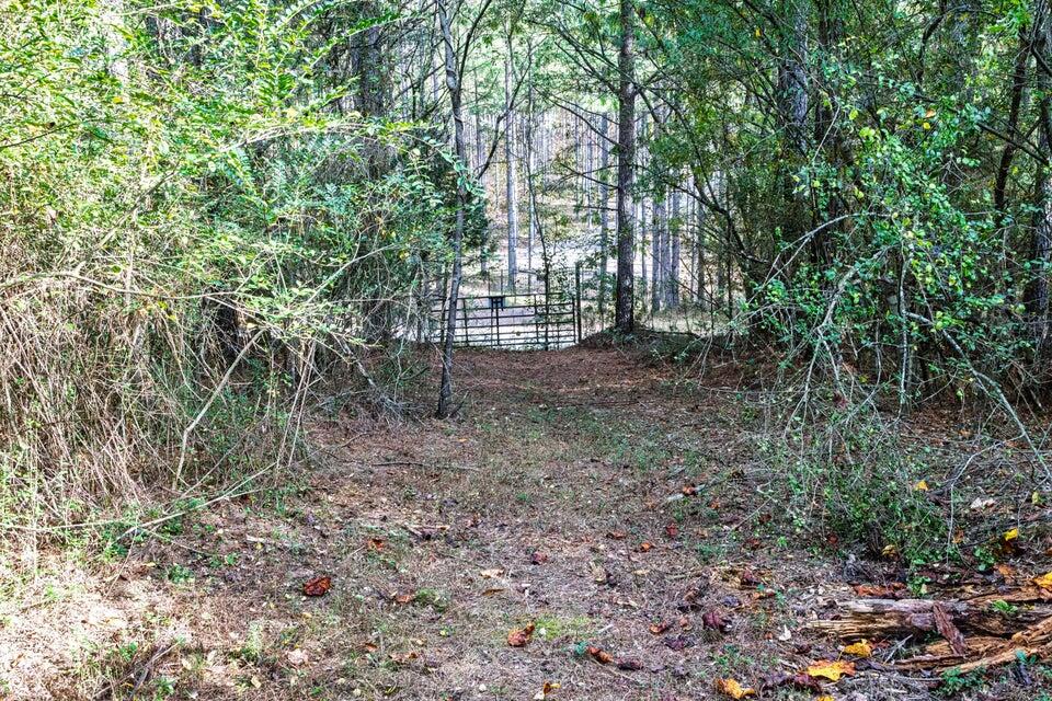 28.74-ac Green Pond Road Decatur, TN 37322 - Photo 28 of 46 28