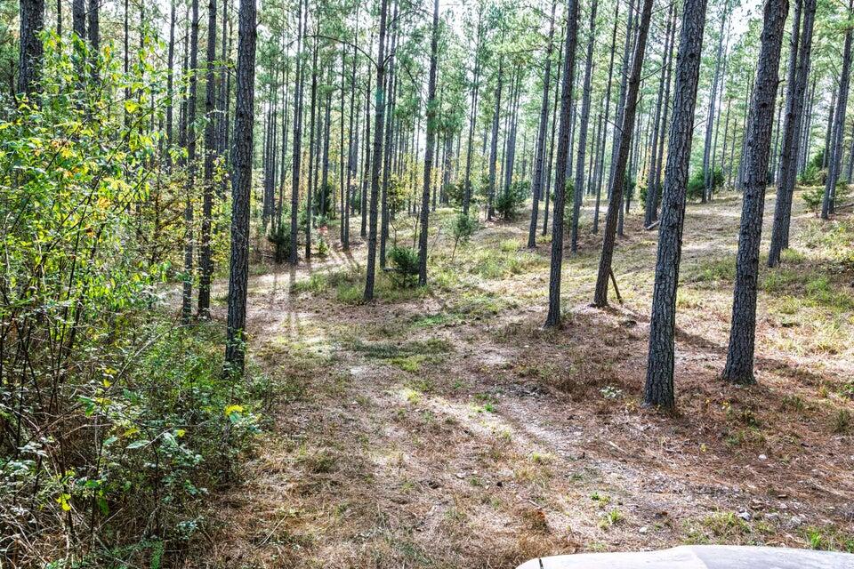 28.74-ac Green Pond Road Decatur, TN 37322 - Photo 29 of 46 29