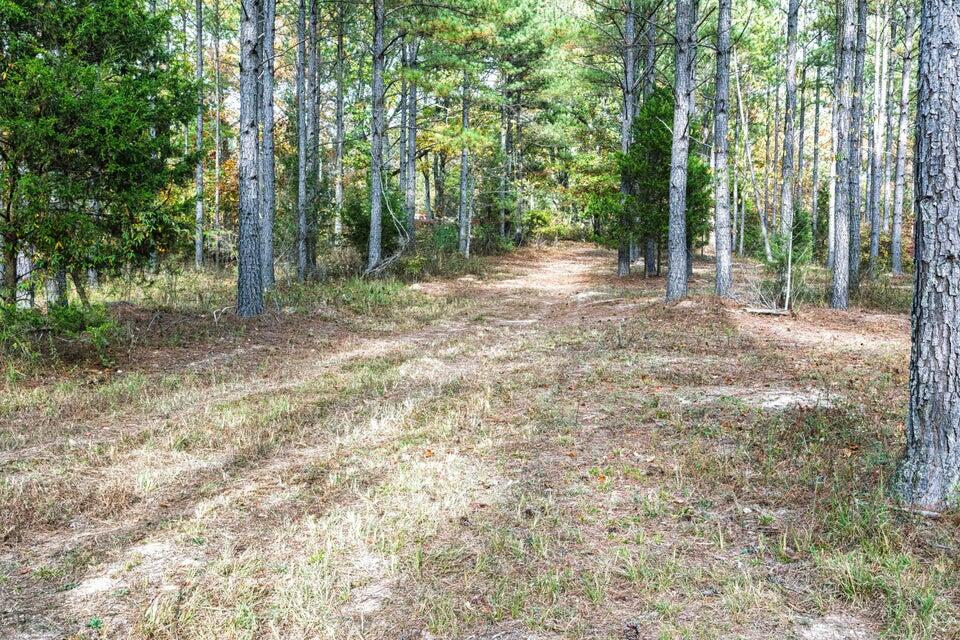 28.74-ac Green Pond Road Decatur, TN 37322 - Photo 30 of 46 30