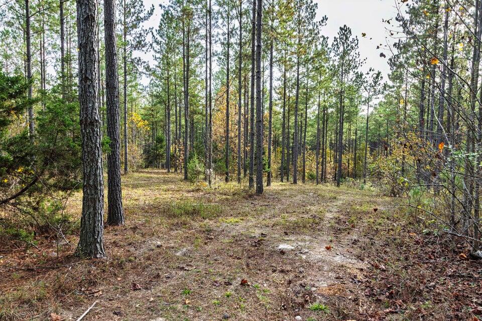 28.74-ac Green Pond Road Decatur, TN 37322 - Photo 31 of 46 31