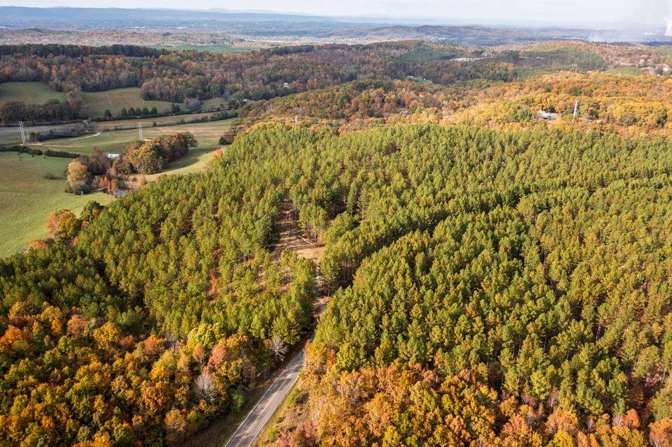 28.74-ac Green Pond Road Decatur, TN 37322 - Photo 32 of 46 32