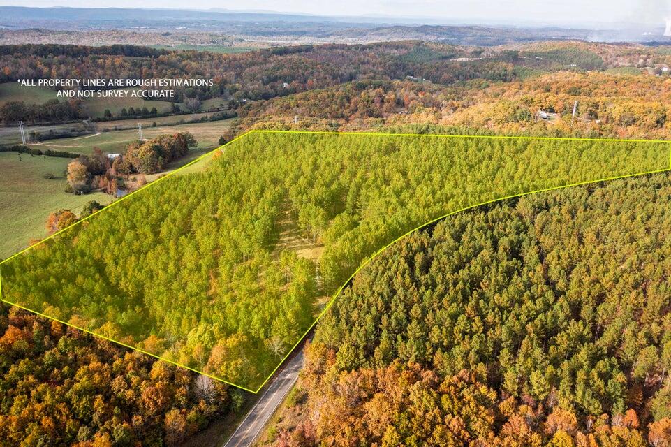 28.74-ac Green Pond Road Decatur, TN 37322 - Photo 33 of 46 33