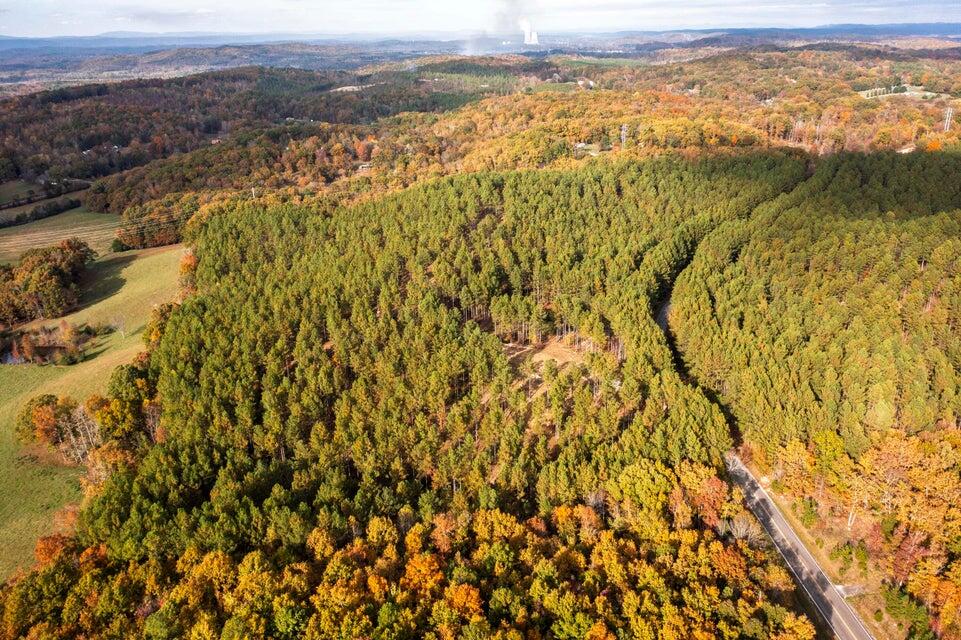 28.74-ac Green Pond Road Decatur, TN 37322 - Photo 34 of 46 34