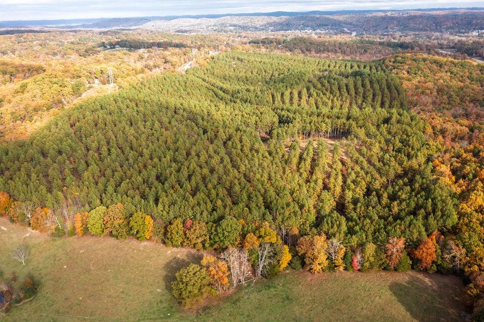 28.74-ac Green Pond Road Decatur, TN 37322 - Photo 35 of 46 35