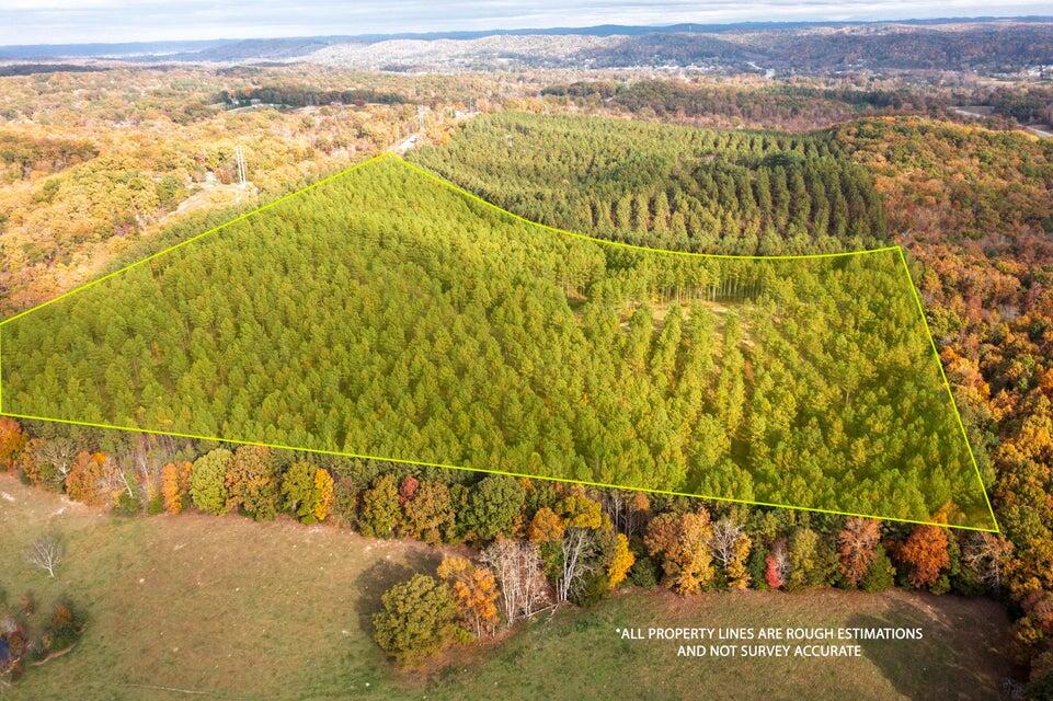 28.74-ac Green Pond Road Decatur, TN 37322 - Photo 36 of 46 36