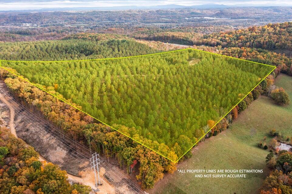 28.74-ac Green Pond Road Decatur, TN 37322 - Photo 38 of 46 38