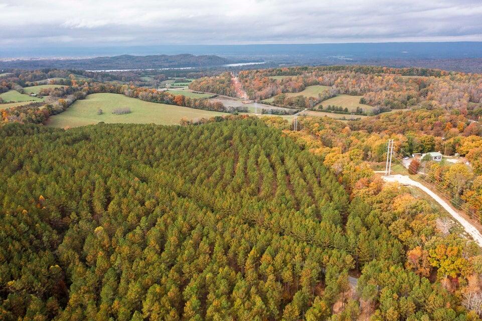 28.74-ac Green Pond Road Decatur, TN 37322 - Photo 39 of 46 39
