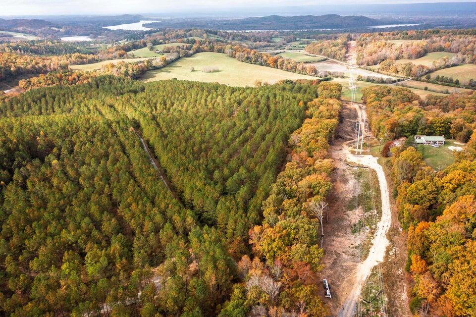 28.74-ac Green Pond Road Decatur, TN 37322 - Photo 41 of 46 41