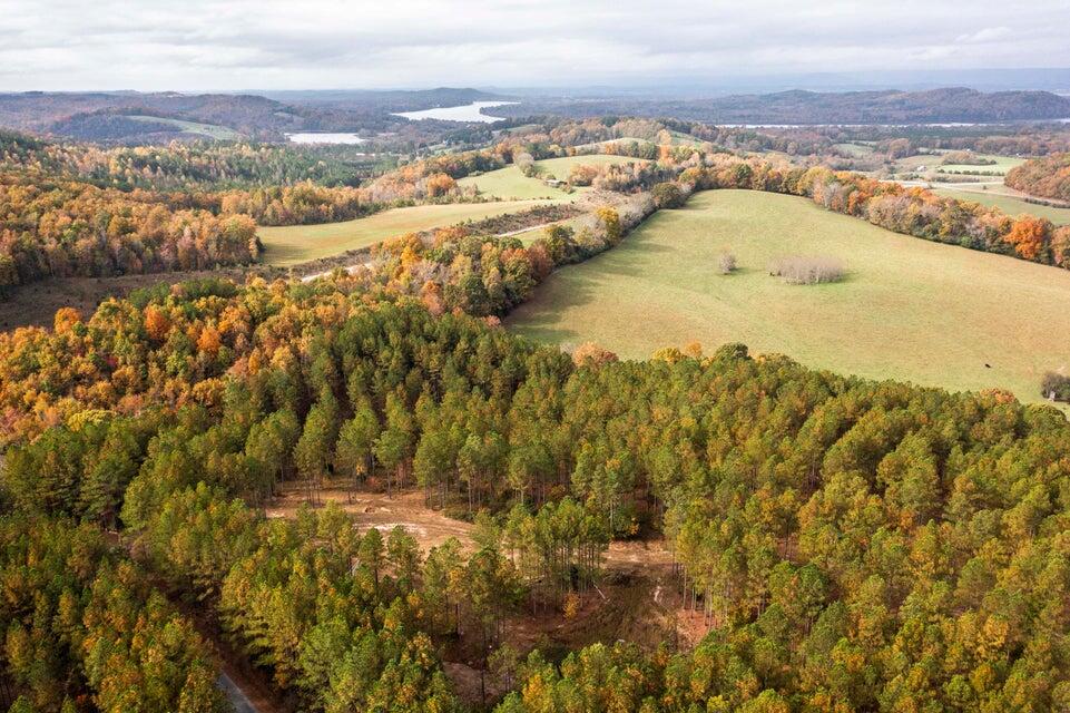28.74-ac Green Pond Road Decatur, TN 37322 - Photo 45 of 46 45